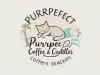 Cat Cafe SOBE | Purr-fect Coffee & Cuddles in South Beach
